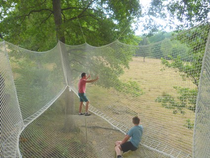 ping pong et jeux de plein air